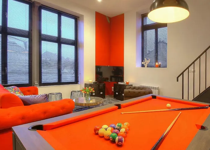 Academy's Loft Apartment Dijon